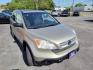 2007 Tan Honda CR-V (5J6RE485X7L) , located at 5700 Curlew Drive, Norfolk, VA, 23502, (757) 455-6330, 36.841885, -76.209412 - Photo#4